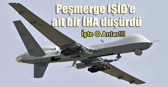 Peşmerge IŞİD'e ait bir İHA düşürdü