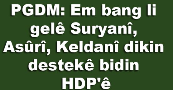 PGDM: Em bang li gelê Suryanî, Asûrî, Keldanî dikin destekê bidin HDP'ê