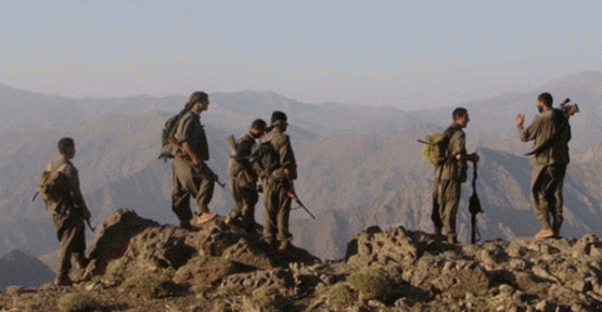 PKK'liler Bingöl'de 1 kişiyi alıkoydu
