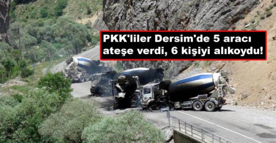 PKK'liler Dersim'de 5 aracı ateşe verdi, 6 kişiyi alıkoydu