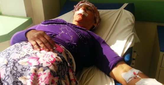 Polis, oğlunu görmeye giden anneyi hastanelik etti