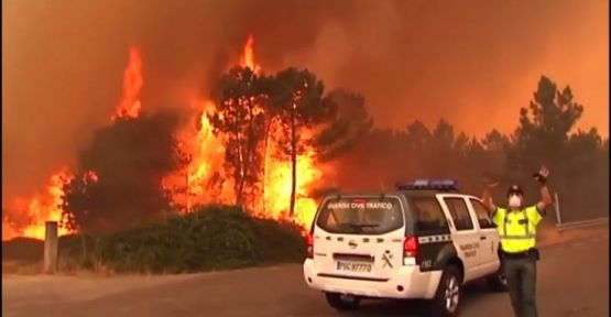 Portekiz’de yangın: 43 kişi öldü, köyler tahliye edildi