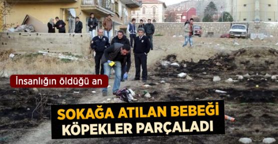 Poşette Sokağa Atılan Bebeği Köpekler Parçaladı 