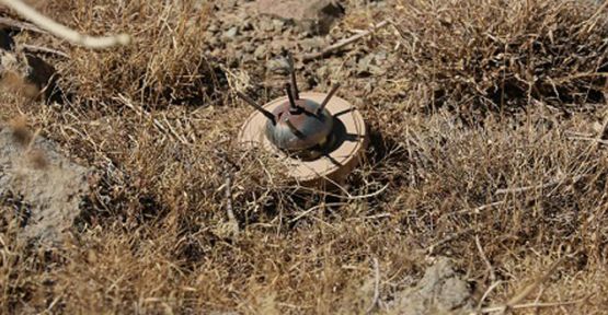 Rojava'da mayına basan 7 kişi hayatını kaybetti