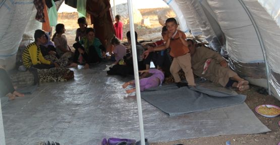 Rojava'ya sığınan Şengalliler için Derik'te kamp