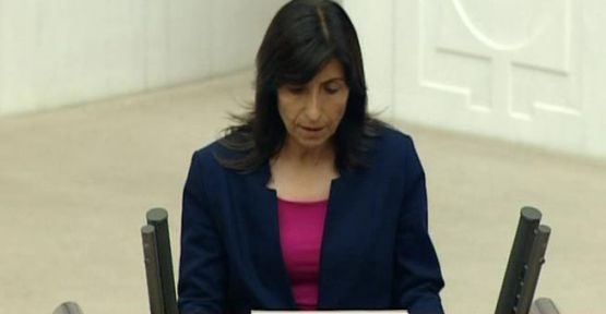 Şahin: Dersim halkı, köylerini ve yaylalarını boşaltmayacak