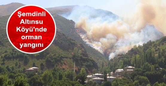 Şemdinli Altınsu Köyü'nde orman yangını