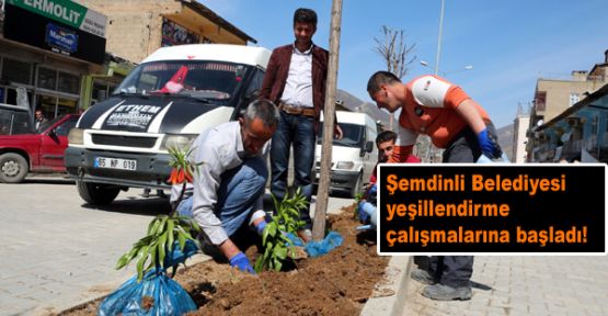  Şemdinli Belediyesi'nden yeşillendirme çalışması