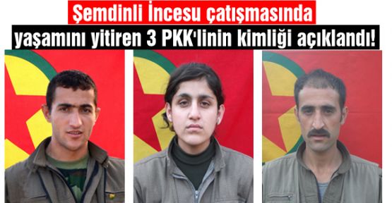 Şemdinli'de yaşamını yitiren 3 PKK'linin kimliği açıklandı