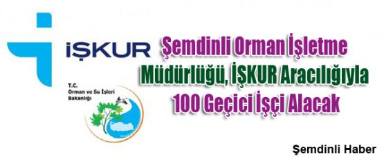 Şemdinli Orman İşletme Müdürlüğü 100 Geçici İşçi Alacak