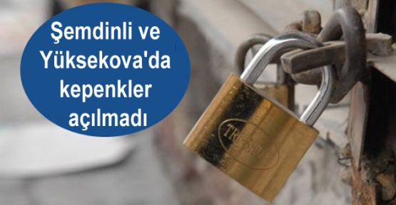 Şemdinli ve Yüksekova'da kepenkler açılmadı