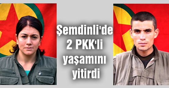 Şemdinli'de 2 PKK'li yaşamını yitirdi