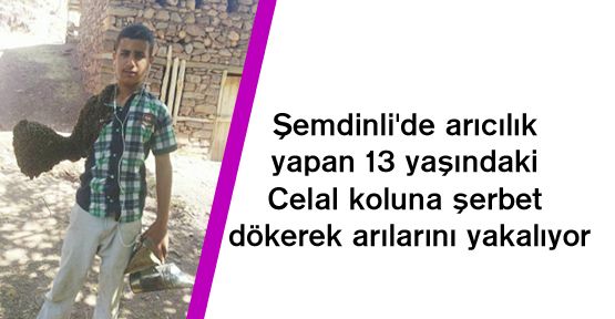 Şemdinli'de arıcılık yapan 13 yaşındaki Celal koluna şerbet dökerek arılarını yakalıyor