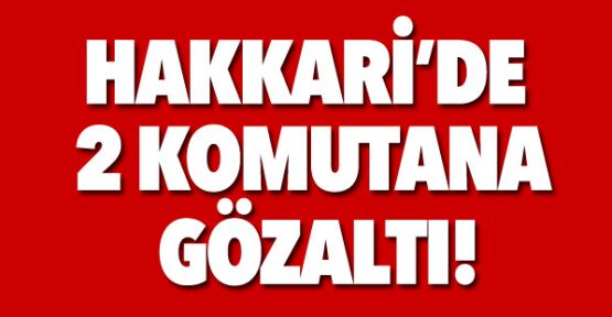 Şemdinli'de, Bolu Komando Tugay Komutanı Tuğgeneral Güneşer Gözaltında
