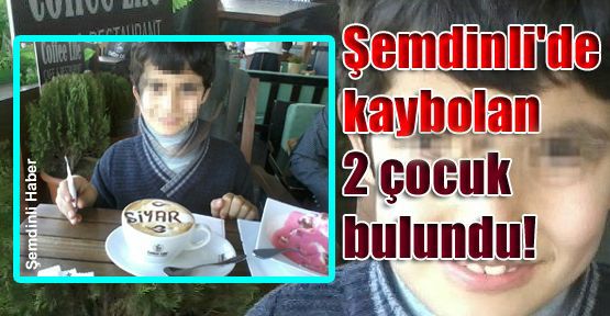 Şemdinli'de kaybolan 2 çocuk 13 saat sonra bulundu