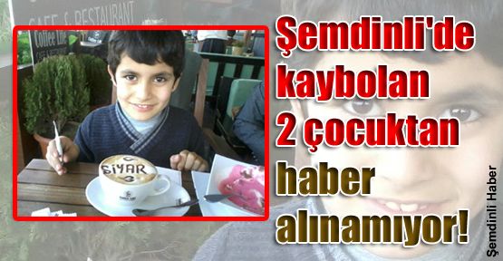 Şemdinli'de kaybolan 2 çocuktan haber alınamıyor