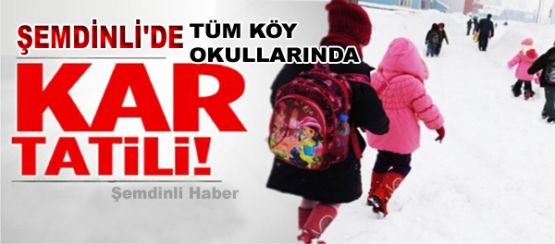Şemdinli'de köy okulları 1 gün tatil edildi
