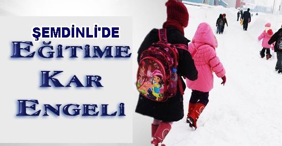 Şemdinli'de okullar birgün tatil edildi 