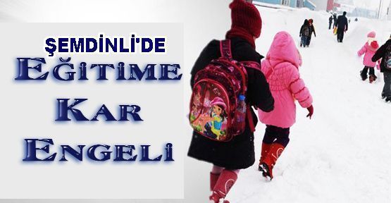 Şemdinli'de okullar tatil edildi