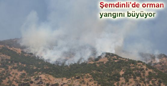 Şemdinli'de orman yangını büyüyor