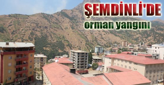 Şemdinli'de orman yangını 