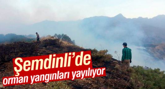 Şemdinli'de orman yangınları yayılıyor