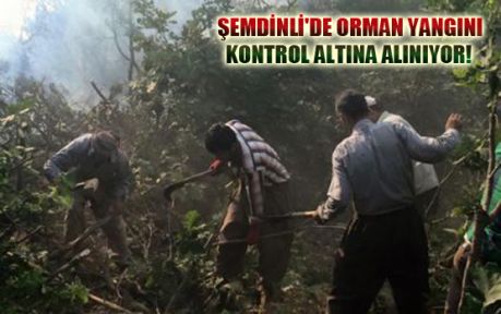 Şemdinli'de orman yangınına müdahale 
