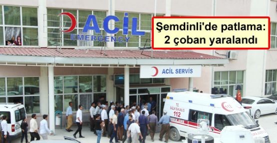 Şemdinli'de patlama: 2 çoban yaralandı
