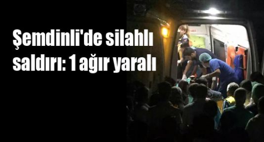 Şemdinli'de silahlı saldırı: 1 ağır yaralı