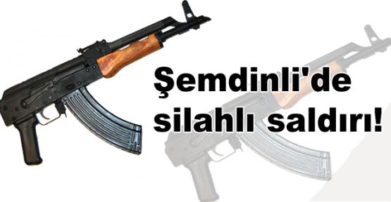 Şemdinli'de silahlı saldırı