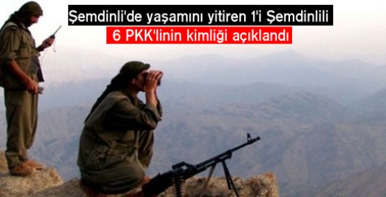 Şemdinli'de yaşamını yitiren 1'i Şemdinlili 6 PKK'linin kimliği açıklandı