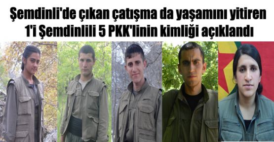 Şemdinli'de yaşamını yitiren 1'i Şemdinlili 5 PKK'linin kimliği açıklandı