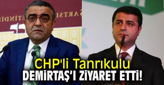 Sezgin Tanrıkulu, Demirtaş'a gitti: Yeri cezaevi olmamalı
