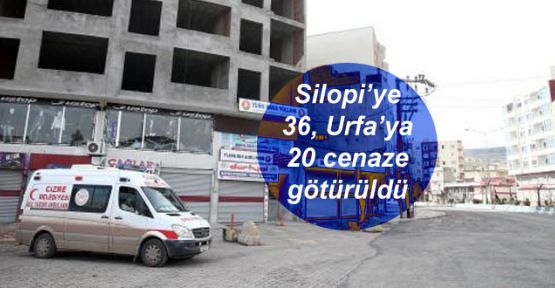 Silopi'ye 36, Urfa'ya 20 cenaze götürüldü