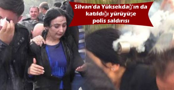Silvan'da Yüksekdağ'ın da katıldığı yürüyüşe polis saldırısı