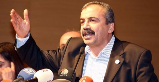 Sırrı Süreyya Önder, AGİT heyeti ile görüştü