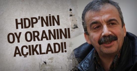 Sırrı Süreyya Önder: HDP'nin oy oranı açıkladı