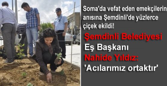 Soma'da vefat eden emekçilerin  anısına Şemdinli'de yüzlerce  çiçek ekildi!