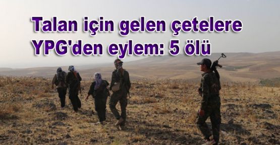 Talan için gelen çetelere YPG'den eylem: 5 ölü