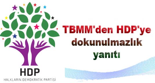 TBMM'den HDP'ye dokunulmazlık yanıtı