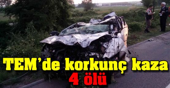 TEM'de korkunç kaza: 4 ölü