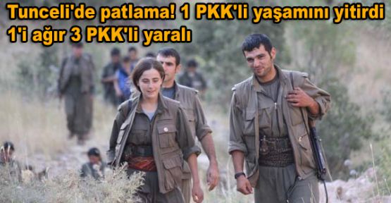 Tunceli'de patlama: 1 PKK'li yaşamını yitirdi, 3 PKK'li yaralı