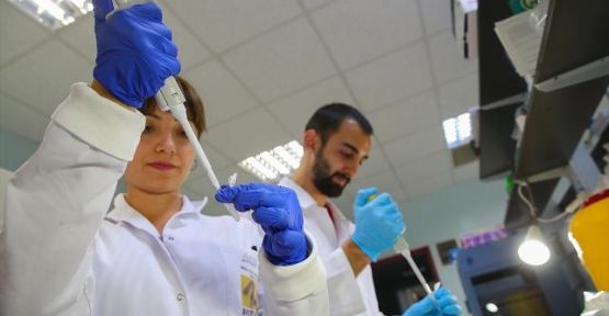 Türk bilim insanları 4 ölümcül virüs buldu