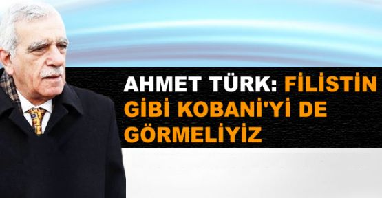 Türk: Filistin gibi Kobani'yi de görmeliyiz