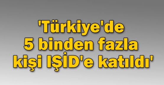 'Türkiye'de 5 binden fazla kişi IŞİD'e katıldı'