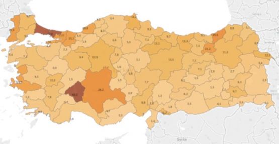 Türkiye'nin korona virüsü haritası