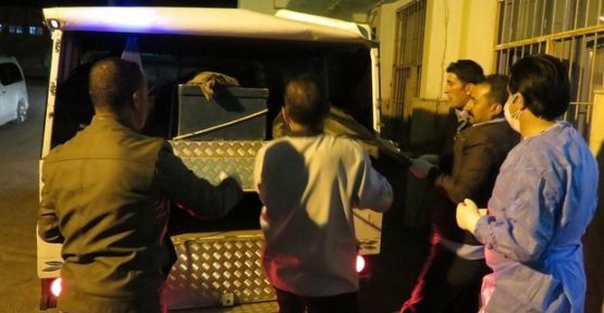 Van Başkale'de 9 erkek cesedi bulundu 