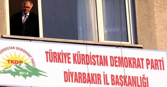 Yargıtay, Türkiye Kürdistan Demokrat Partisi'ne onay verdi