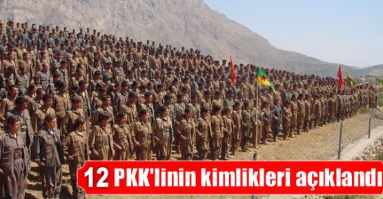 Yaşamını yitiren 12 PKK'linin kimliği açıklandı