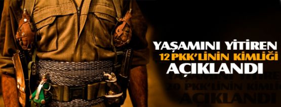 Yaşamını yitiren 12 PKK'linin kimliği açıklandı